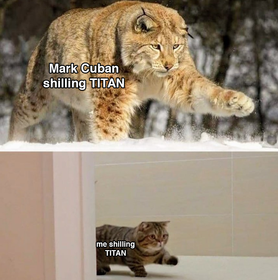 Two-panel meme: a lynx labeled 'Mark Cuban shilling TITAN' above a small house cat labeled 'me shilling TITAN'